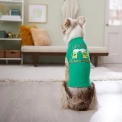 Frisco Let's Get Shamrocked Dog & Cat T-Shirt -Pet Cat Supplies Shop 300184 PT8. AC SS1800 V1639597401