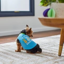 Frisco I'm A Little Eggs-tra Dog & Cat T-Shirt -Pet Cat Supplies Shop 300646 PT5. AC SS1800 V1641542509