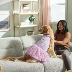 Frisco Love Bunny Dog & Cat Dress -Pet Cat Supplies Shop 300656 PT5. AC SS1800 V1641535314