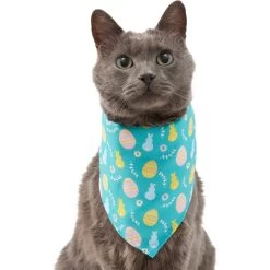 Frisco Spring Easter Egg Dog & Cat Bandana -Pet Cat Supplies Shop 300663 PT2. AC SS1800 V1641537094