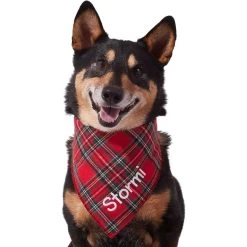Frisco Tartan Plaid Embroidered Personalized Dog & Cat Bandana -Pet Cat Supplies Shop 301157 PT6. AC SS1800 V1628536009
