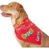 Frisco Official Cookie Tester Personalized Dog & Cat Bandana 2 Frisco Official Cookie Tester Personalized Dog & Cat Bandana -Pet Cat Supplies Shop 301353 MAIN. AC SS1800 V1632923476