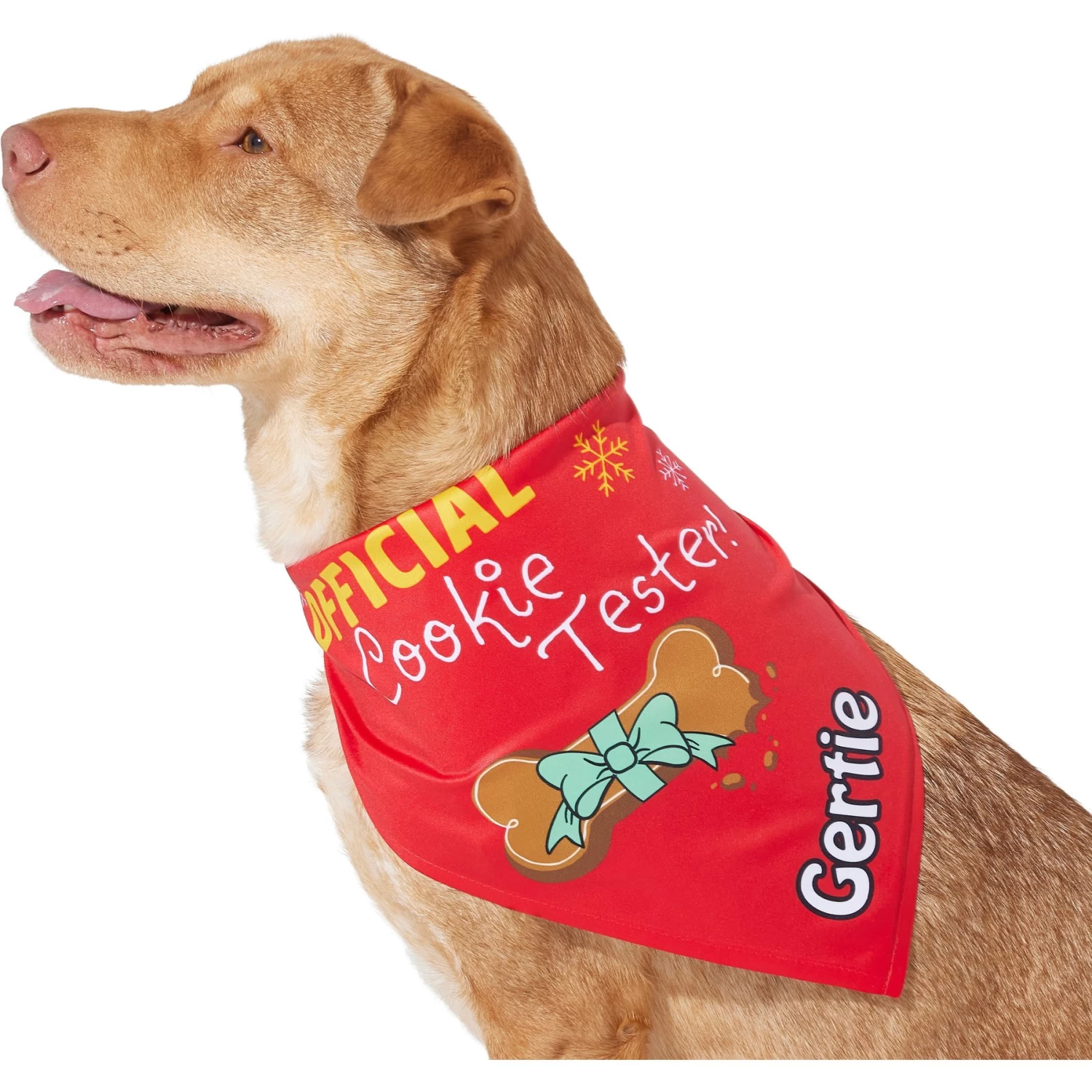 Frisco Official Cookie Tester Personalized Dog & Cat Bandana 3 Frisco Official Cookie Tester Personalized Dog & Cat Bandana