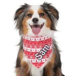 Frisco Fair Isle Personalized Dog & Cat Bandana -Pet Cat Supplies Shop 301357 PT6. AC SS1800 V1628100112