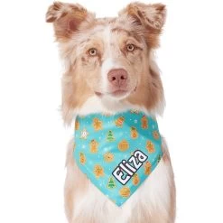 Frisco Gingerbread Cookie Personalized Dog & Cat Bandana -Pet Cat Supplies Shop 301361 PT6. AC SS1800 V1628100109