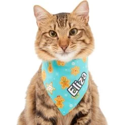 Frisco Gingerbread Cookie Personalized Dog & Cat Bandana -Pet Cat Supplies Shop 301361 PT7. AC SS1800 V1628100087