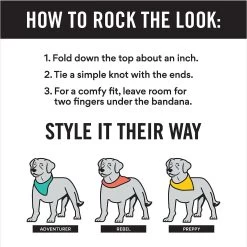 Frisco Santa's Favorite Elf Personalized Dog & Cat Bandana -Pet Cat Supplies Shop 301369 PT2. AC SS1800 V1623274661