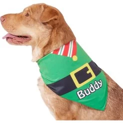 Frisco Santa's Favorite Elf Personalized Dog & Cat Bandana -Pet Cat Supplies Shop 301369 PT6. AC SS1800 V1628100146