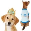 Frisco Happy Birthday Dog & Cat Crown & Frisco It's My Birthday & Cat T-Shirt -Pet Cat Supplies Shop 302470 MAIN. AC SS1800 V1623076950