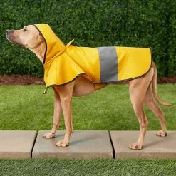 Frisco Lightweight Rainy Days Dog Raincoat & Frisco Lightweight Clear Vinyl Dog Raincoat -Pet Cat Supplies Shop 302814 PT4. AC SS1800 V1623089554