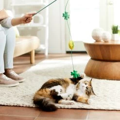 Frisco St. Patrick's Shamrock Teaser Wand Cat Toy With Catnip -Pet Cat Supplies Shop 303108 PT3. AC SS1800 V1641230422