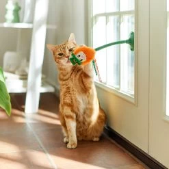 Frisco St. Patrick's Leprechaun Suction Cup Teaser Cat Toy With Catnip 9 Frisco St. Patrick's Leprechaun Suction Cup Teaser Cat Toy With Catnip -Pet Cat Supplies Shop 303110 PT3. AC SS1800 V1641230446