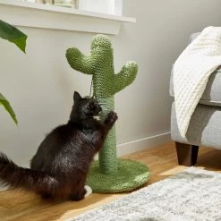Frisco Cactus Cat Scratching Post & Frisco Dangly Avocado Buddy Plush Cat Toy With Catnip 12 Frisco Cactus Cat Scratching Post & Frisco Dangly Avocado Buddy Plush Cat Toy With Catnip -Pet Cat Supplies Shop 303380 PT3. AC SS1800 V1623081149