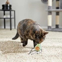 Frisco Cactus Cat Scratching Post & Frisco Dangly Avocado Buddy Plush Cat Toy With Catnip 15 Frisco Cactus Cat Scratching Post & Frisco Dangly Avocado Buddy Plush Cat Toy With Catnip -Pet Cat Supplies Shop 303380 PT6. AC SS1800 V1623085642