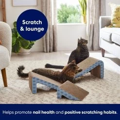 Frisco Nesting Cat Scratcher Toy With Catnip -Pet Cat Supplies Shop 308876 PT5. AC SS1800 V1691785301
