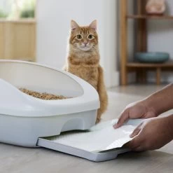 Frisco Cat Litter Pads, Scented -Pet Cat Supplies Shop 309828 PT5. AC SS1800 V1675280050