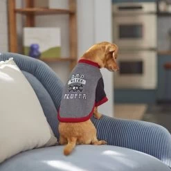 Frisco Bad Motha Fluffa Dog & Cat T-Shirt -Pet Cat Supplies Shop 312048 PT8. AC SS1800 V1644446866