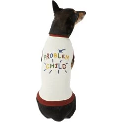 Frisco Problem Child Dog & Cat T-Shirt -Pet Cat Supplies Shop 312064 PT3. AC SS1800 V1673303532