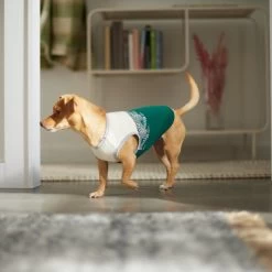 Frisco Tropical Palm Dog & Cat T-Shirt -Pet Cat Supplies Shop 312072 PT8. AC SS1800 V1644425897