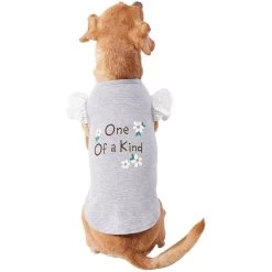 Frisco One Of A Kind Dog & Cat T-Shirt -Pet Cat Supplies Shop 312080 PT3. AC SS1800 V1673303002
