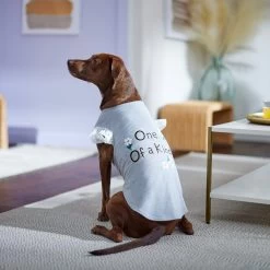 Frisco One Of A Kind Dog & Cat T-Shirt -Pet Cat Supplies Shop 312080 PT5. AC SS1800 V1673304060