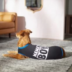 Frisco Mama's Boy Dog & Cat T-Shirt -Pet Cat Supplies Shop 312088 PT5. AC SS1800 V1673361675