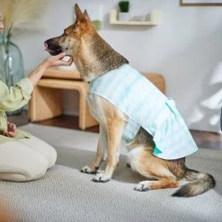 Frisco Green Tie Dye Dog & Cat Dress -Pet Cat Supplies Shop 312104 PT8. AC SS1800 V1644424641