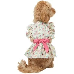 Frisco Dainty Pink Floral Dog & Cat Dress -Pet Cat Supplies Shop 312136 PT2. AC SS1800 V1703872208