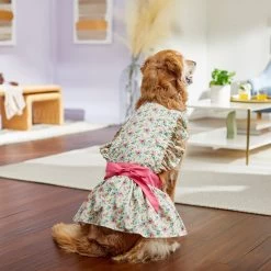 Frisco Dainty Pink Floral Dog & Cat Dress -Pet Cat Supplies Shop 312136 PT7. AC SS1800 V1703872208