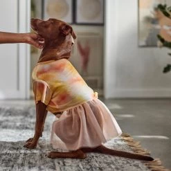 Frisco Tie Dye Pink Tutu Dog & Cat Dress -Pet Cat Supplies Shop 312152 PT8. AC SS1800 V1644528801