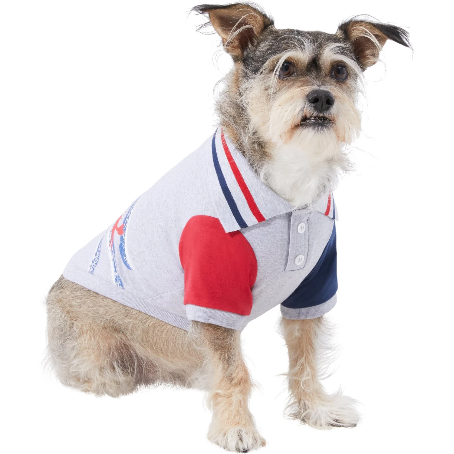 Frisco Nautical Polo Dog & Cat Shirt 3 Frisco Nautical Polo Dog & Cat Shirt