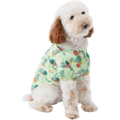 Frisco Hawaiian Floral Camp Dog & Cat Shirt 14 Frisco Hawaiian Floral Camp Dog & Cat Shirt -Pet Cat Supplies Shop 312168 PT3. AC SS1800 V1673304452