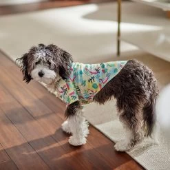 Frisco Flamingo Camp Dog & Cat Shirt -Pet Cat Supplies Shop 312176 PT7. AC SS1800 V1673361358