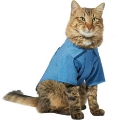 Frisco Chambray Pineapple Dog & Cat Shirt 13 Frisco Chambray Pineapple Dog & Cat Shirt -Pet Cat Supplies Shop 312192 PT2. AC SS1800 V1644528879