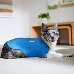 Frisco Chambray Pineapple Dog & Cat Shirt 19 Frisco Chambray Pineapple Dog & Cat Shirt -Pet Cat Supplies Shop 312192 PT8. AC SS1800 V1644526681