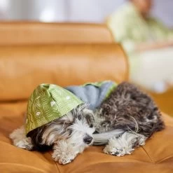 Frisco Green Southwest Dog & Cat Hoodie -Pet Cat Supplies Shop 312248 PT8. AC SS1800 V1644883113