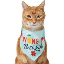 Frisco Living My Best Life Dog & Cat Bandana -Pet Cat Supplies Shop 312288 PT2. AC SS1800 V1644884916