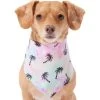 Frisco Palm Tree Dog & Cat Bandana 2 Frisco Palm Tree Dog & Cat Bandana -Pet Cat Supplies Shop 312291 MAIN. AC SS1800 V1644885149