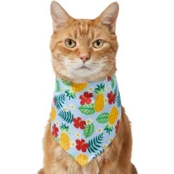 Frisco Hawaiian Pineapple Dog & Cat Bandana -Pet Cat Supplies Shop 312300 PT2. AC SS1800 V1644878643