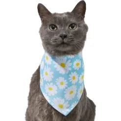 Frisco Daisy Dog & Cat Bandana -Pet Cat Supplies Shop 312303 PT2. AC SS1800 V1644883588