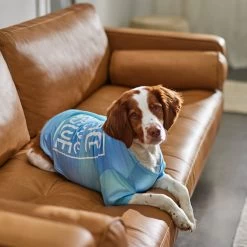 Frisco Peace Love Rescue Dog & Cat T-Shirt -Pet Cat Supplies Shop 315068 PT8. AC SS1800 V1646351303