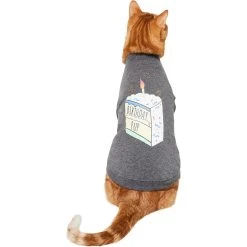 Frisco Birthday Pup Dog & Cat T-Shirt -Pet Cat Supplies Shop 315076 PT2. AC SS1800 V1646432513