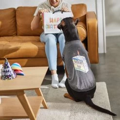 Frisco Birthday Pup Dog & Cat T-Shirt -Pet Cat Supplies Shop 315076 PT8. AC SS1800 V1646438210