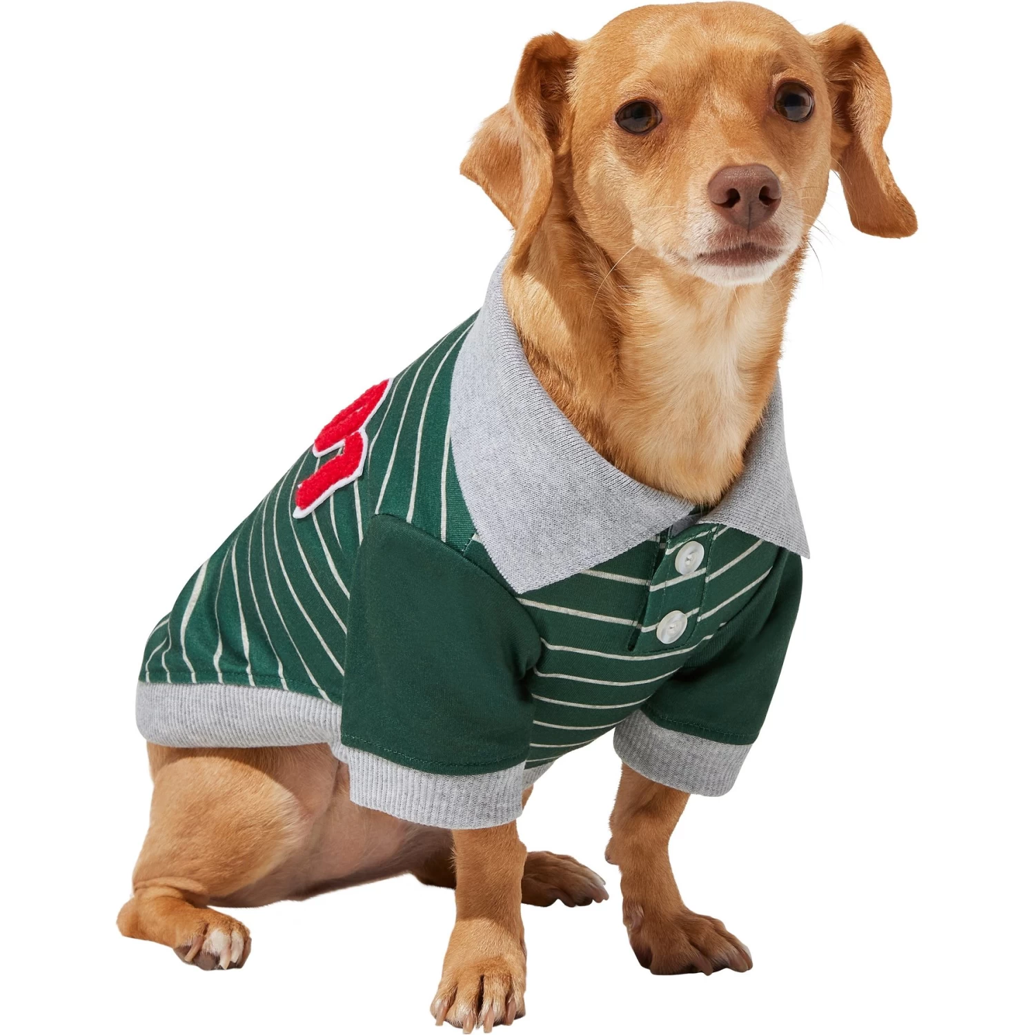 Frisco Green Rugby Dog & Cat Polo Shirt 3 Frisco Green Rugby Dog & Cat Polo Shirt
