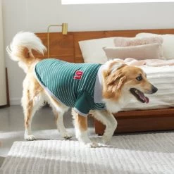 Frisco Green Rugby Dog & Cat Polo Shirt 19 Frisco Green Rugby Dog & Cat Polo Shirt -Pet Cat Supplies Shop 315084 PT8. AC SS1800 V1646436749