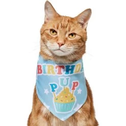 Frisco Birthday Pup Dog & Cat Bandana 11 Frisco Birthday Pup Dog & Cat Bandana -Pet Cat Supplies Shop 315130 PT2. AC SS1800 V1646437964