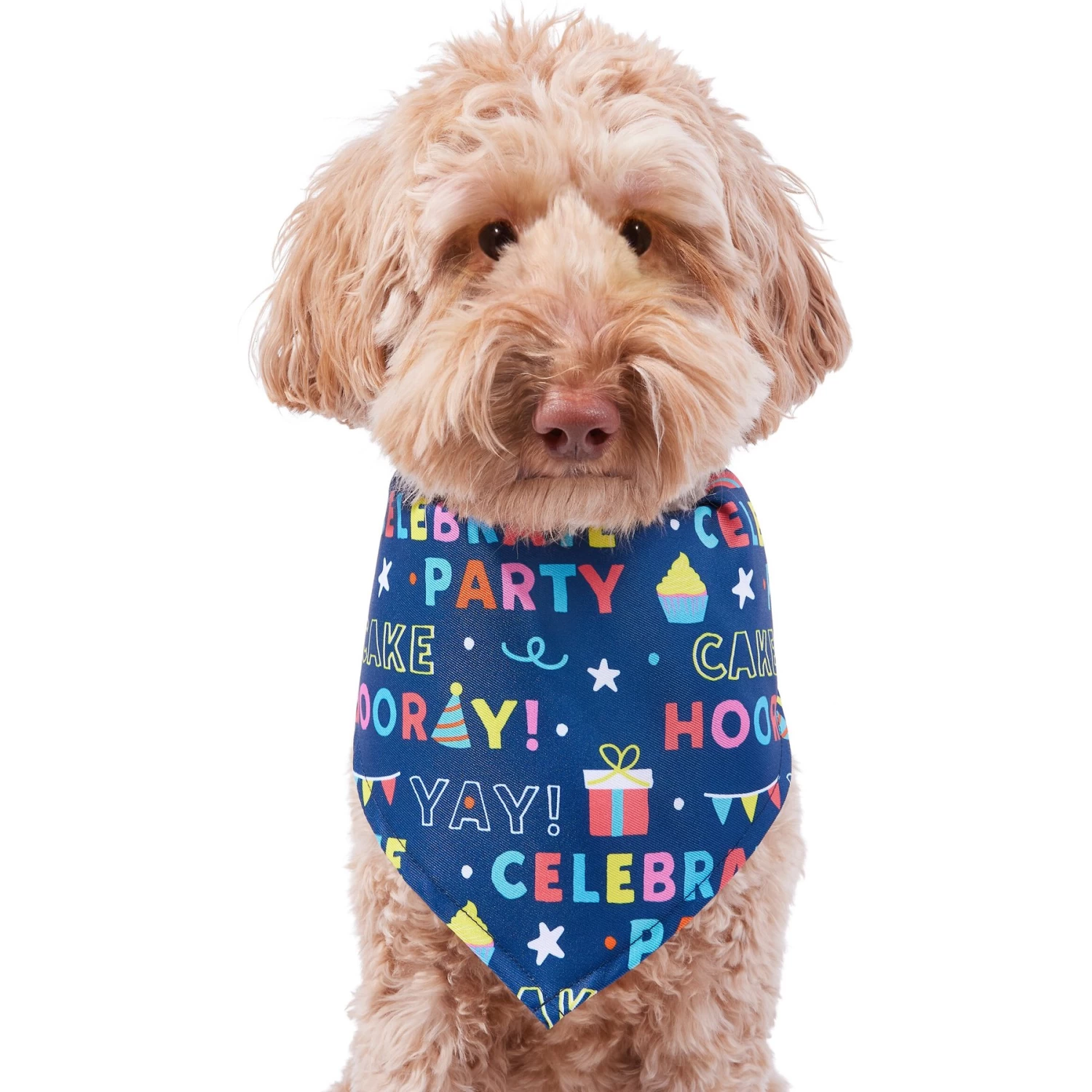Frisco Celebration Dog & Cat Bandana 3 Frisco Celebration Dog & Cat Bandana