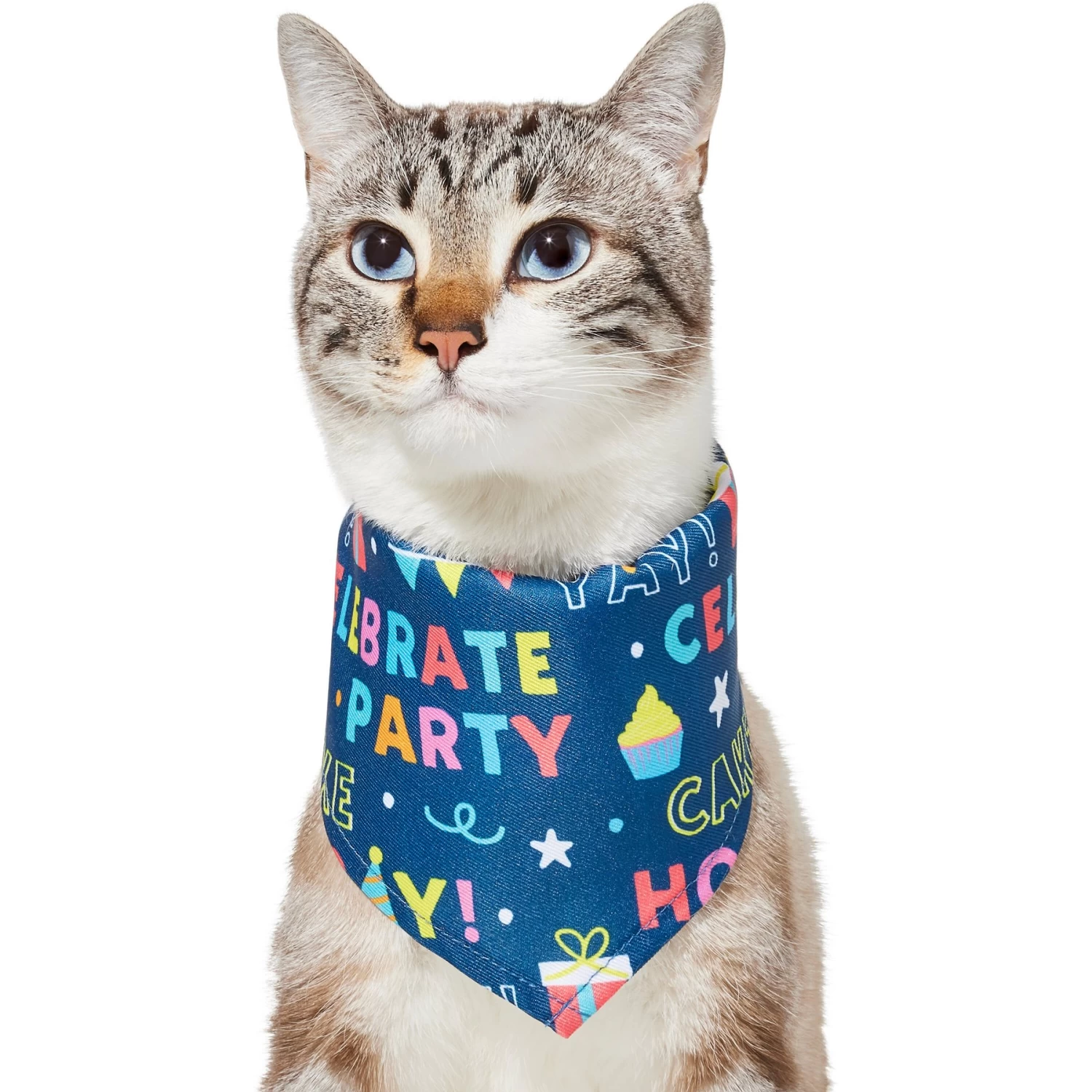Frisco Celebration Dog & Cat Bandana 5 Frisco Celebration Dog & Cat Bandana - Image 3