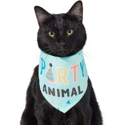 Frisco Party Animal Dog & Cat Bandana -Pet Cat Supplies Shop 315136 PT2. AC SS1800 V1646438016