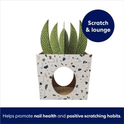 Frisco Potted Succulent Cardboard Cat House -Pet Cat Supplies Shop 317723 PT2. AC SS1800 V1689342085